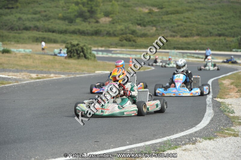DSC (3650).JPG